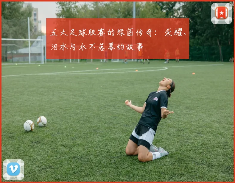 五大足球联赛的绿茵传奇：荣耀、泪水与永不落幕的故事