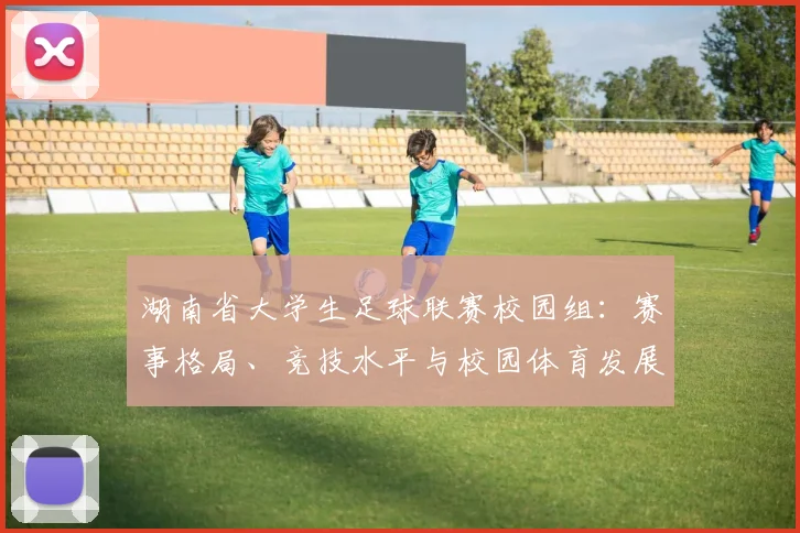 湖南省大学生足球联赛校园组：赛事格局、竞技水平与校园体育发展深度解析_20260613172912