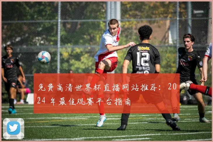 免费高清世界杯直播网站推荐:2024 年最佳观赛平台指南