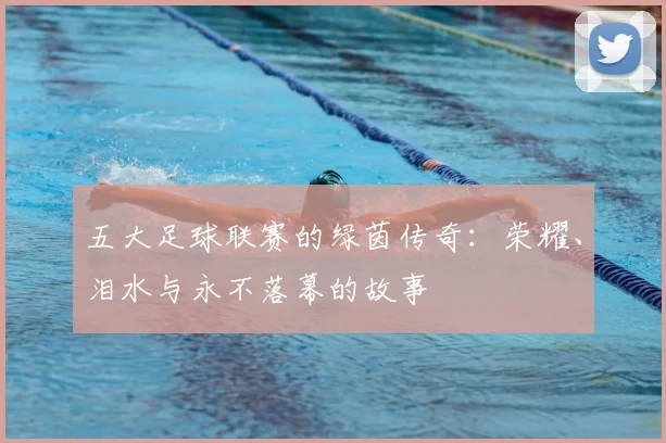 五大足球联赛的绿茵传奇:荣耀、泪水与永不落幕的故事